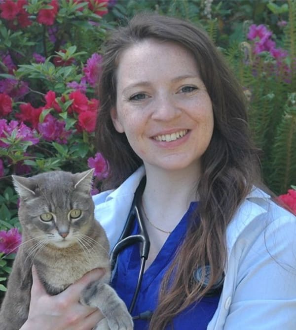 Dr. Laura Battilega Vancouver Veterinarian