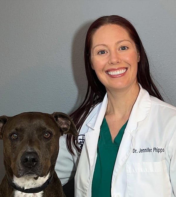 Dr. Jennifer Phipps Vancouver Veterinarian